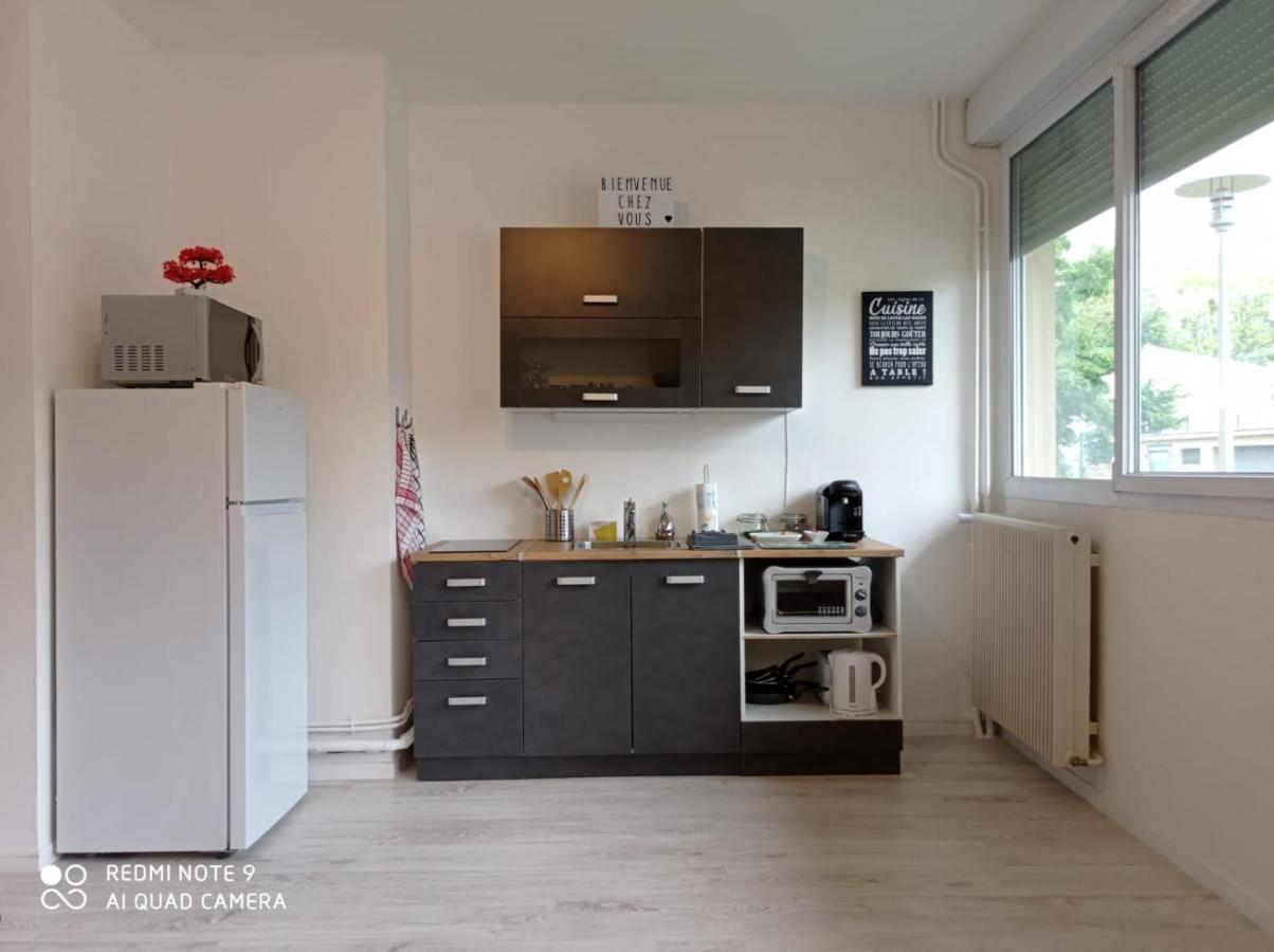 Appartement La Roseraie PARKING PRIVE Mâcon Extérieur photo