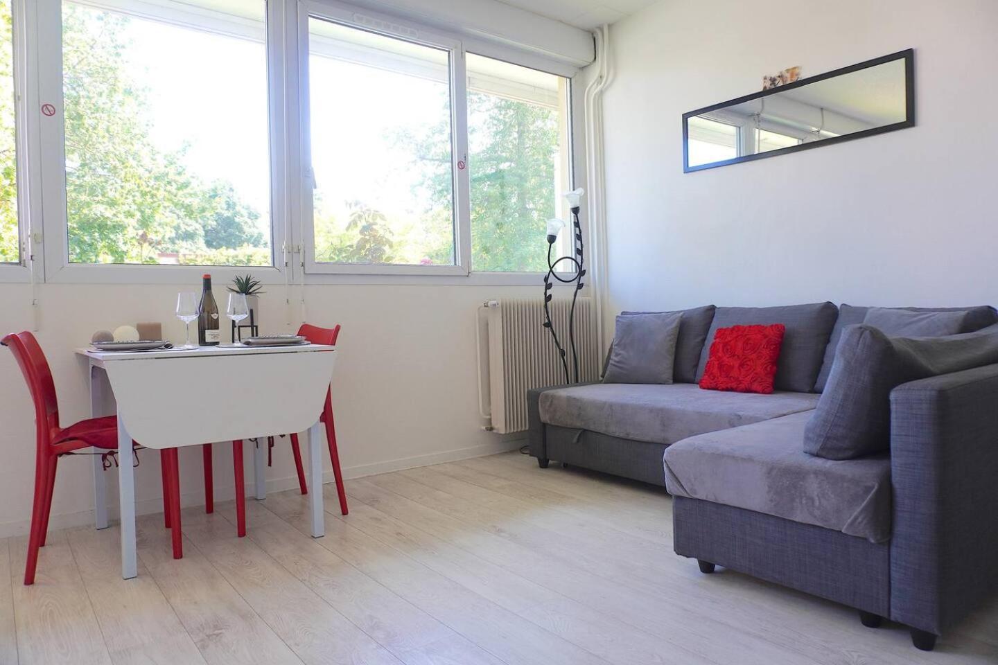 Appartement La Roseraie PARKING PRIVE Mâcon Extérieur photo